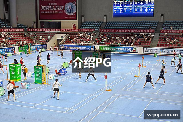 介绍PG